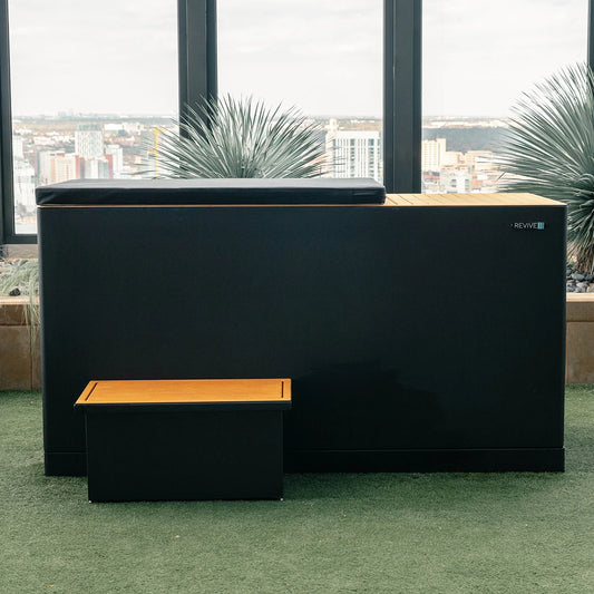 Dark Revive Luxury all-in-one cold plunge beside large windows, with a step positioned in front.